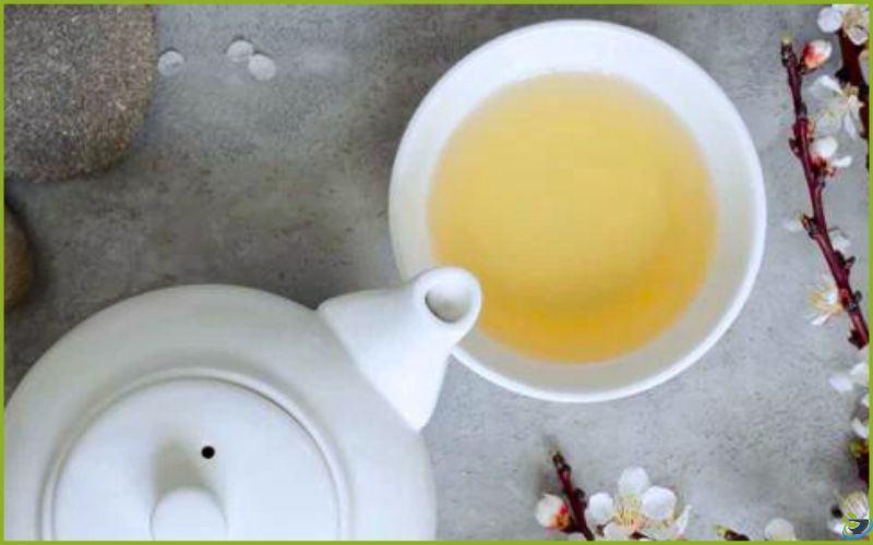 خواص چای سفید چیست؟