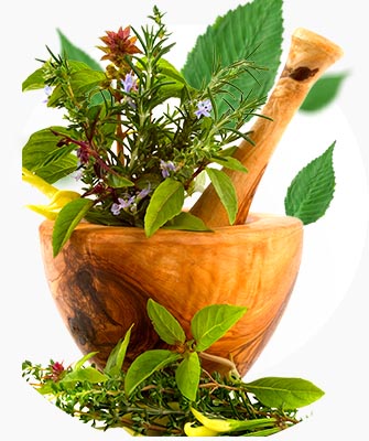 صادرات گیاهان دارویی