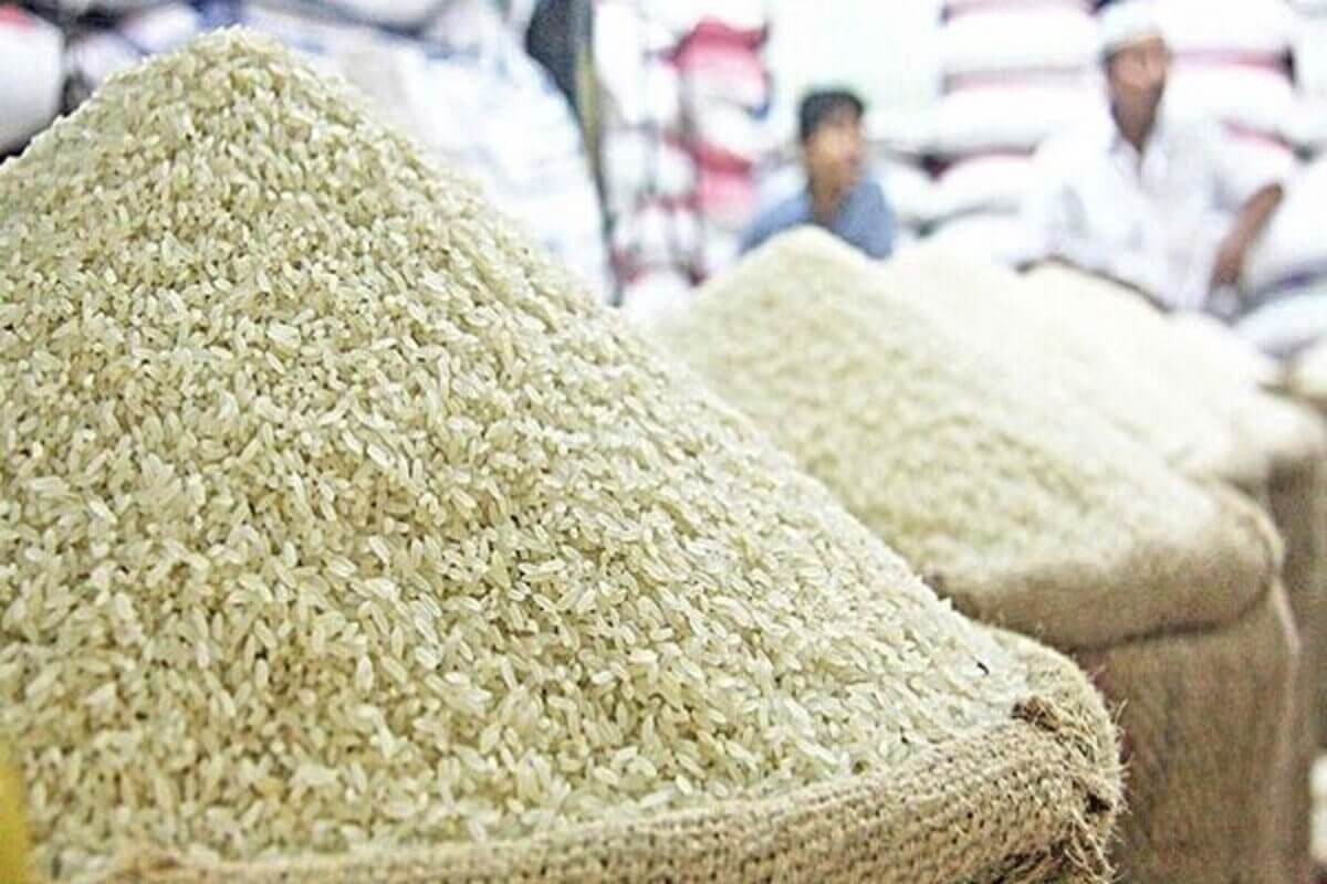 برنج سرگل