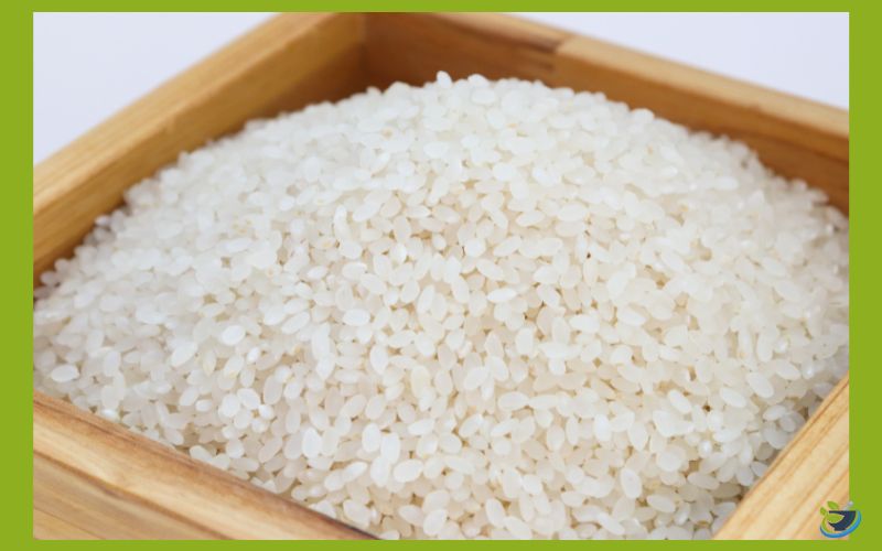 آشنایی با سالم‌ ترین نوع برنج