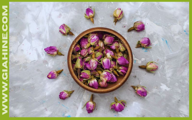 خواص گل محمدی برای زنان گیاهینه