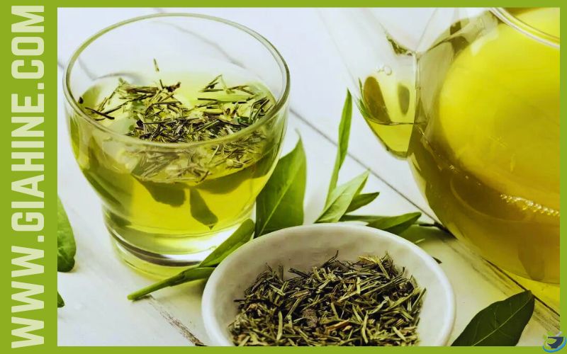 با فواید و مضرات چای سبز آشنا شوید! + طریقه مصرف چای سبز