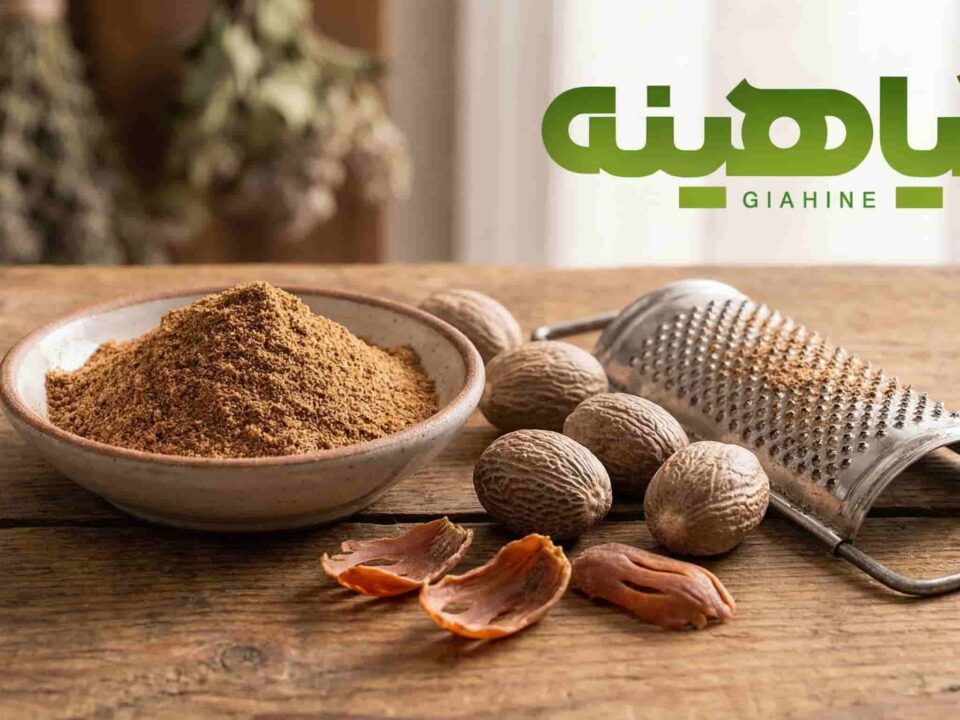 بازار جهانی جوز هندی